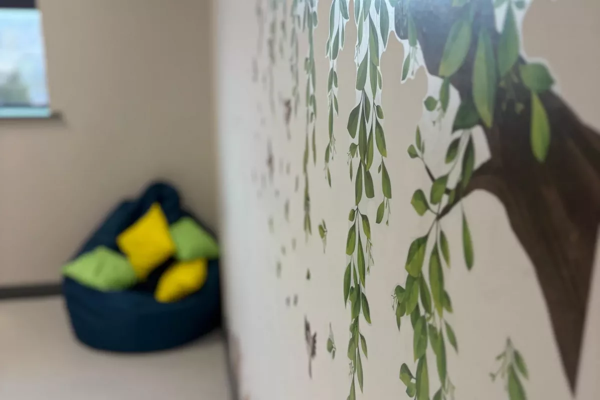 Rathore-School-Newry-10